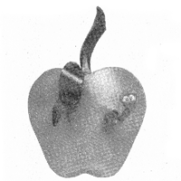 Christmas Apple Ornament