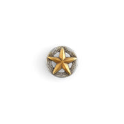 3-D Texas Star Concho