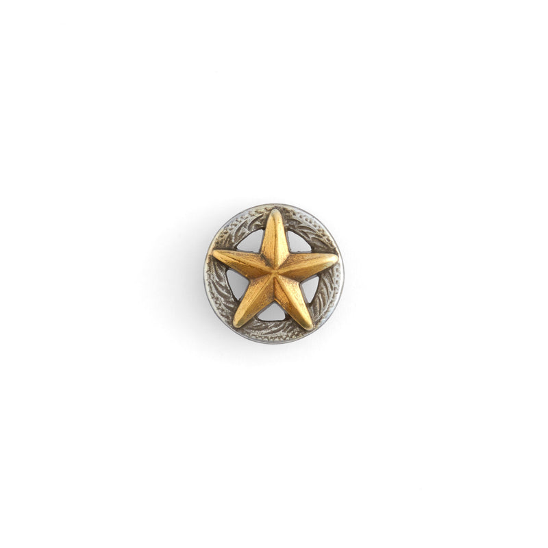 3-D Texas Star Concho