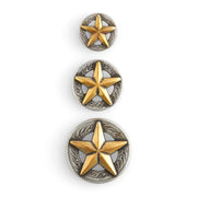 3-D Texas Star Concho