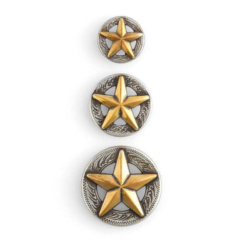 3-D Texas Star Concho