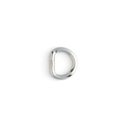 Stainless Steel D-Ring