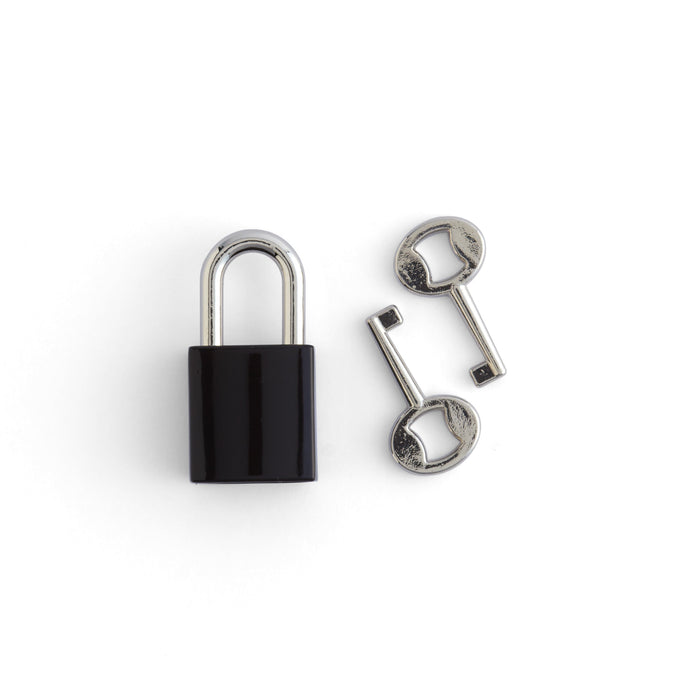 Traditional Padlock Set