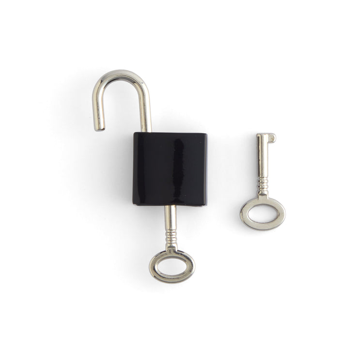 Traditional Padlock Set