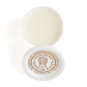 Fiebing's Snow Proof Mink Oil Paste