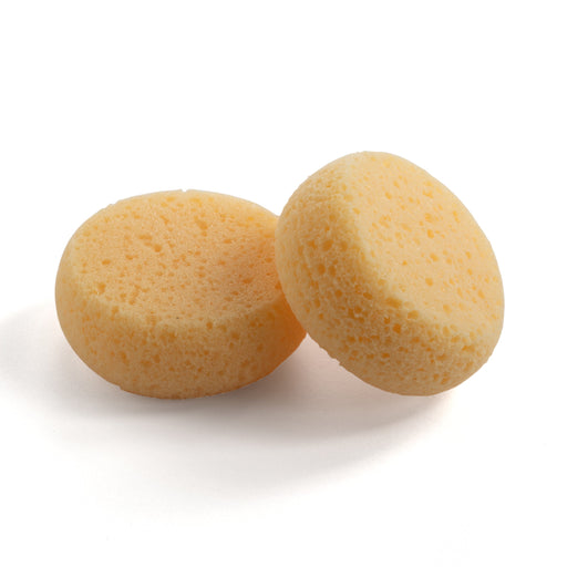 Leathercraft Sponge Round 2 Pack