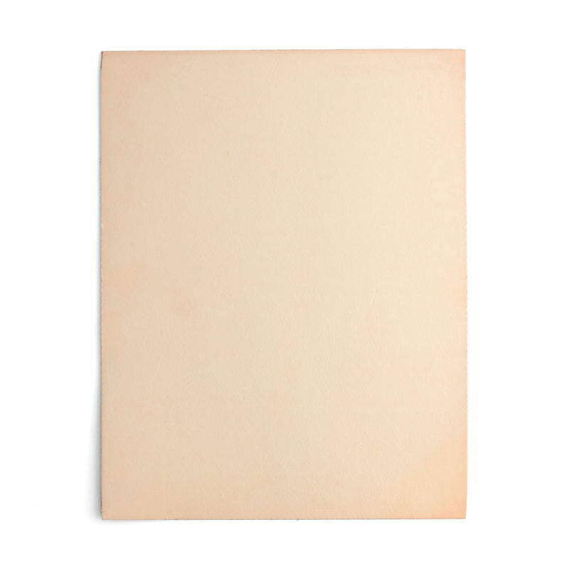 Veg-Tan Tooling Leather Craft Cut