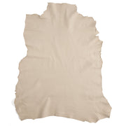 Assorted Designer Small Skin - SPECIAL BUY