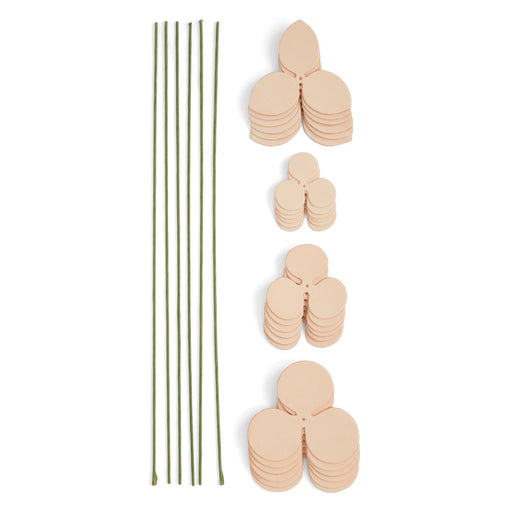Rose Kit 6 Pack