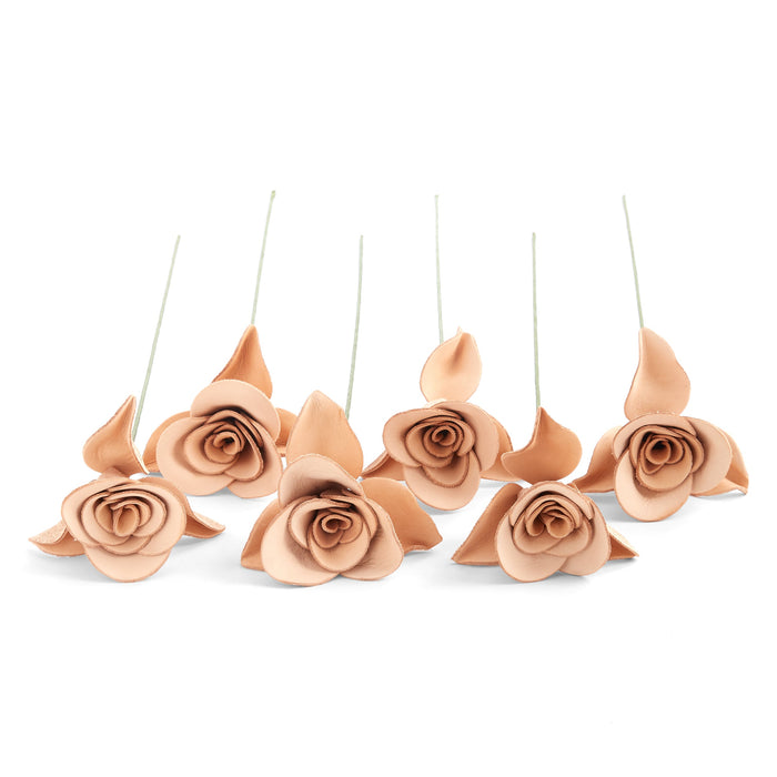 Half Dozen Roses Kit