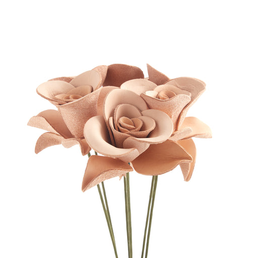 Rose Kit 6 Pack