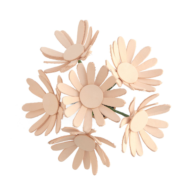 Daisy Kit 6 Pack