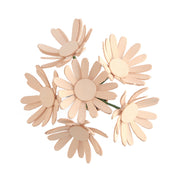Daisy Kit 6 Pack
