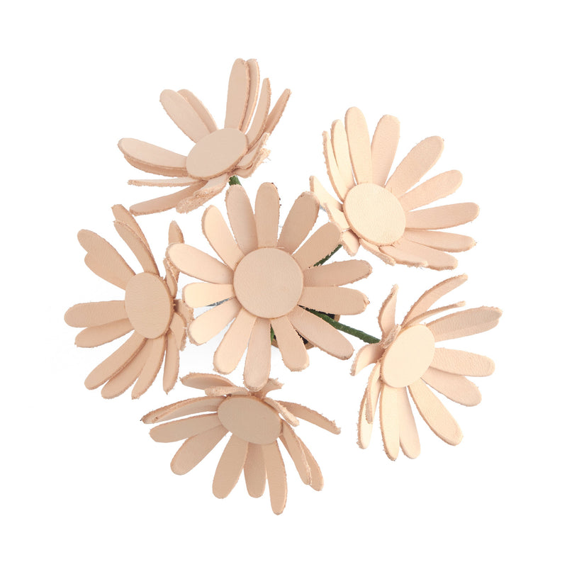 Daisy Kit 6 Pack