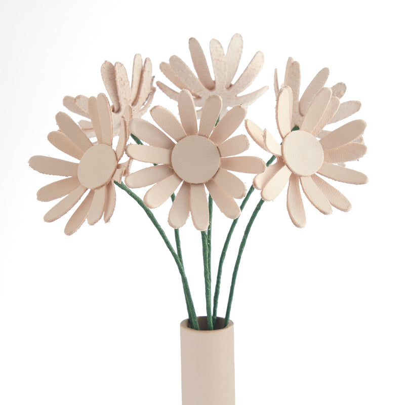 Daisy Kit 6 Pack
