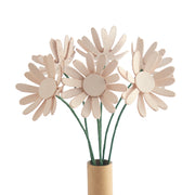 Daisy Kit 6 Pack