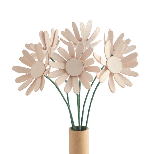 Daisy Kit 6 Pack