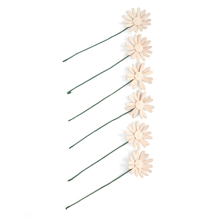 Daisy Kit 6 Pack