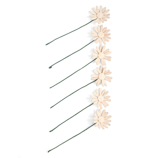 Daisy Kit 6 Pack