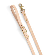 Dog Leash Kit