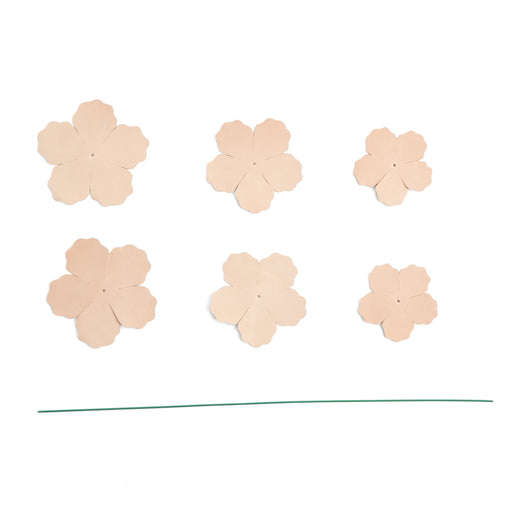 Peony Kit 3 Pack