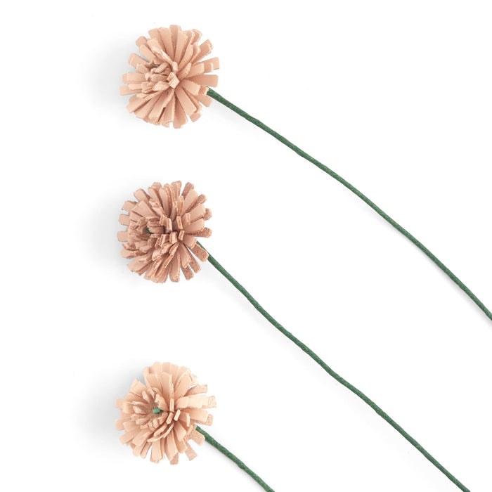 Dandelion Kit 3 Pack