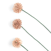 Dandelion Kit 3 Pack