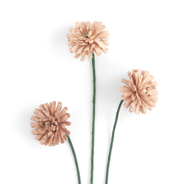 Dandelion Kit 3 Pack