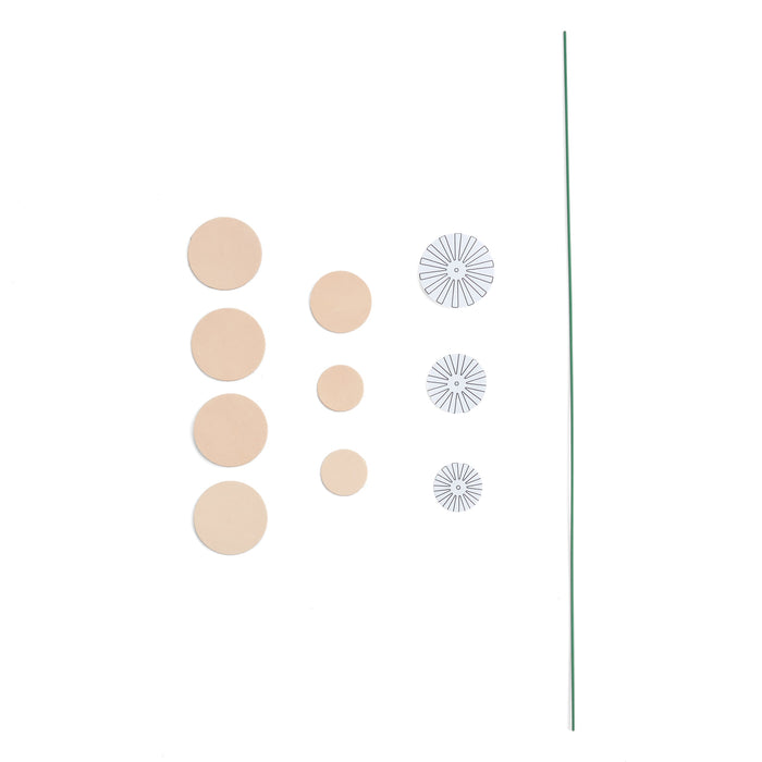 Dandelion Kit 3 Pack