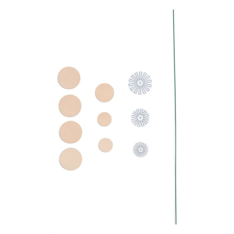 Dandelion Kit 3 Pack
