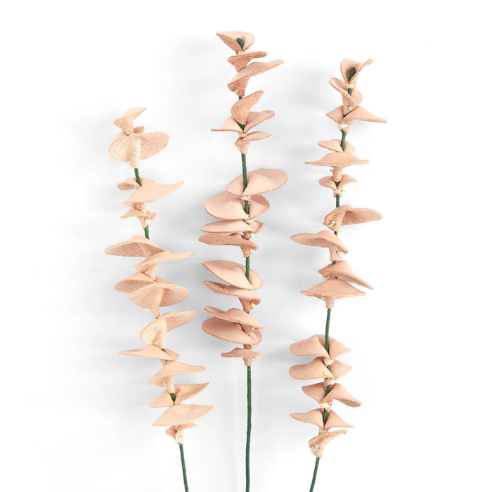 Eucalyptus Kit 3 Pack