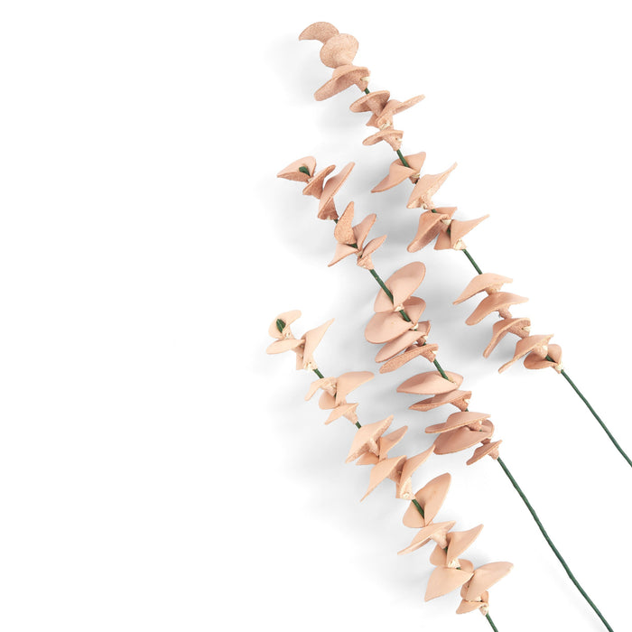 Eucalyptus Kit 3 Pack