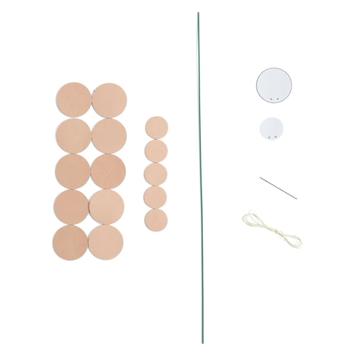 Eucalyptus Kit 3 Pack