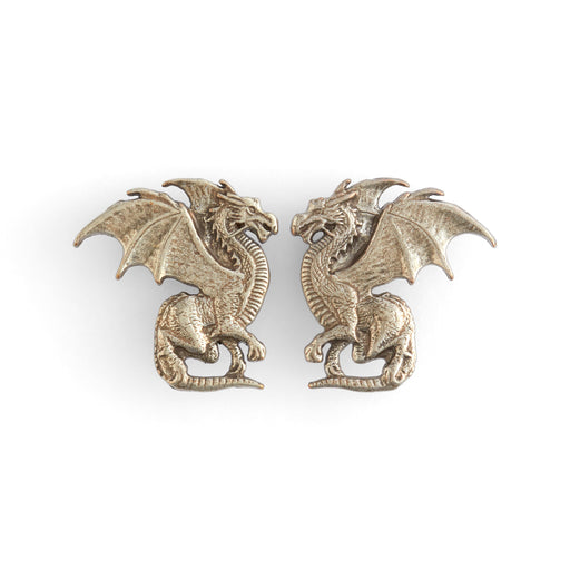 Winged Dragon Conchos