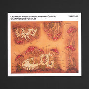 Fossil Fungi Craftaid®