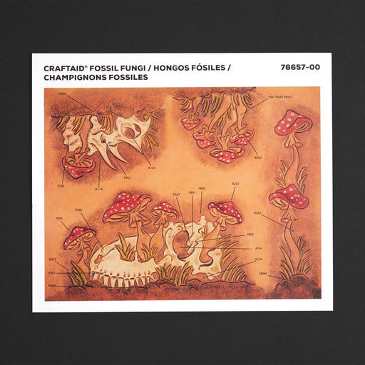Fossil Fungi Craftaid®