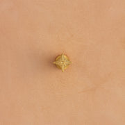 North Star Brass Stamp