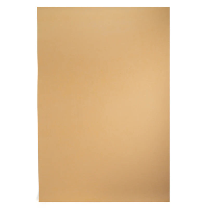Bag Stiffener