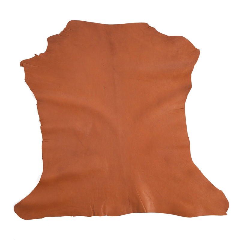 Assorted Designer Small Skin - SPECIAL BUY