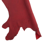 Bison Side