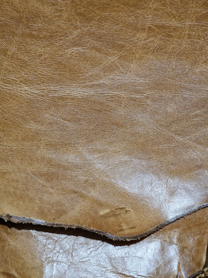 Designer Whole Hide - SPECIAL BUY