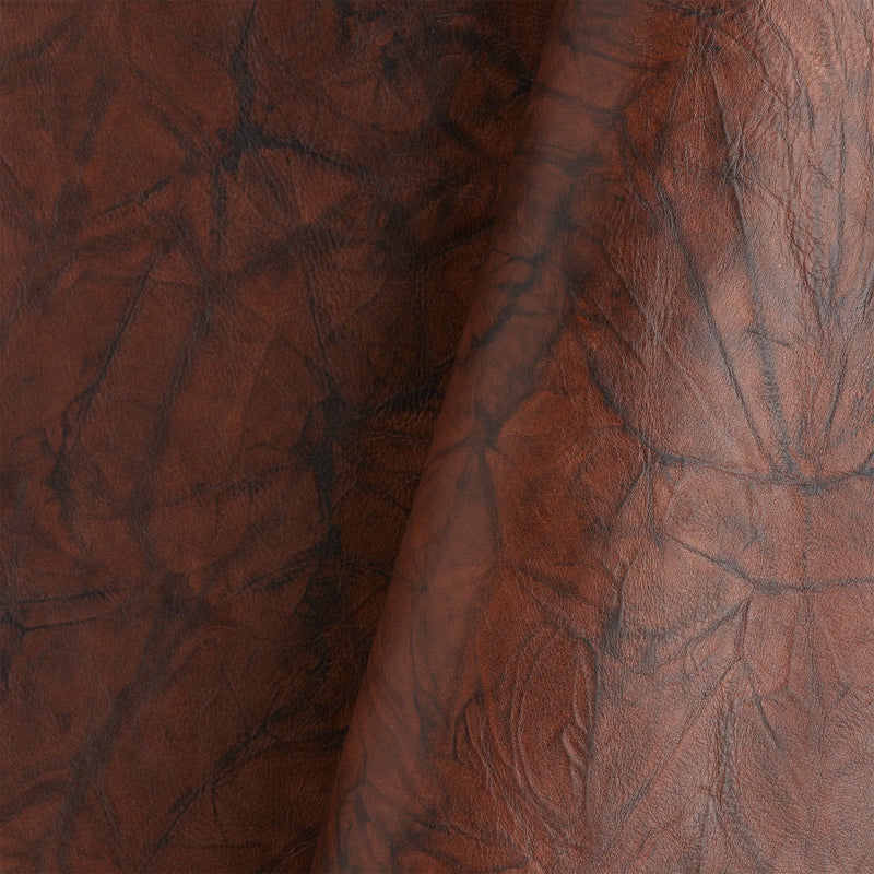 Deerlite Side