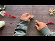 Daisy Kit 6 Pack video