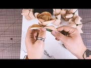 Rose Kit 6 Pack video