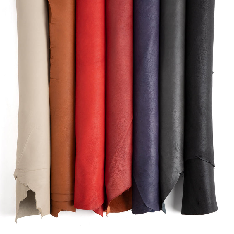 Assorted Designer Small Skin - SPECIAL BUY