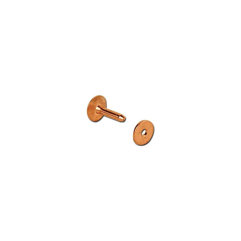 Decorative Rivets & Burrs 50 Pack
