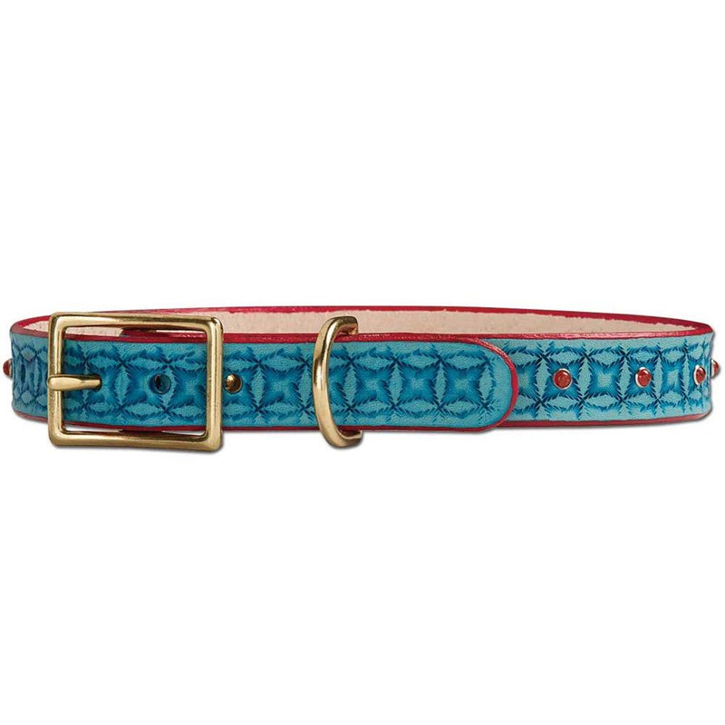 Kit de collier pour chien