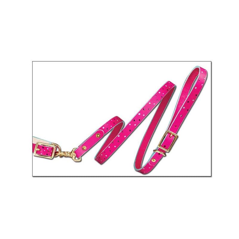 Dog Leash Kit