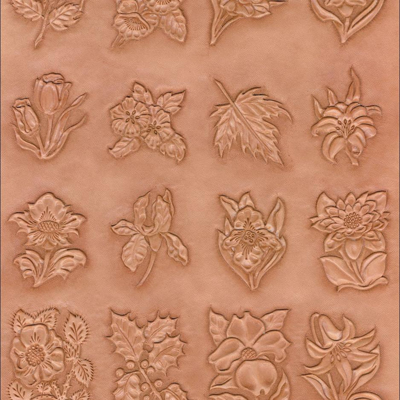 Plants Craftaid®