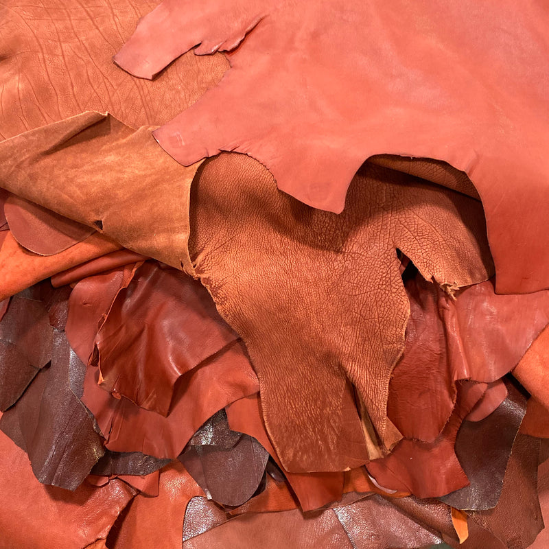 Designer Leather Skins - Small-assorted - SPECIAL BUY